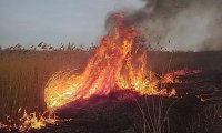 Na zdjęciu widoczne palące się nieużytki i trawa. Wysoki ogień i gęsty dym.