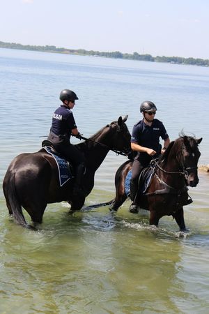 Kręci mnie bezpieczeństwo nad wodą. Piknik Plenerowy nad Jeziorem Tarnobrzeskim