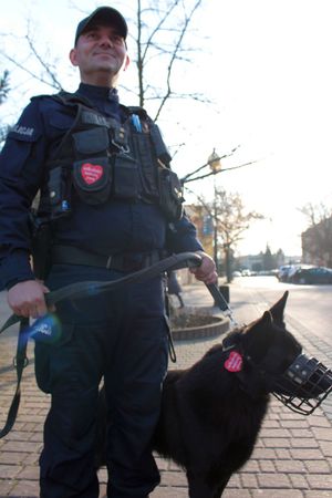 33.Finał Wielkiej Orkiestry Świątecznej Pomocy z tarnobrzeską Policją