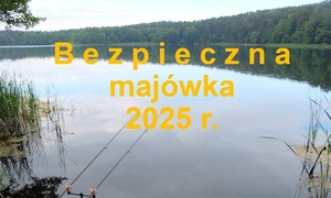 zdjęcie poglądowe