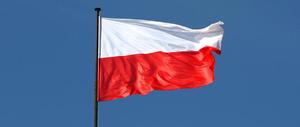zdjęcie poglądowe