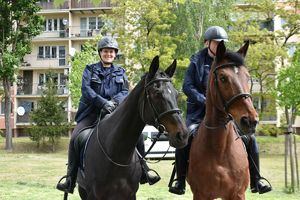 Policjanci z Komendy Miejskiej Policji w Tarnobrzegu, we współpracy z funkcjonariuszami Komendy Wojewódzkiej Policji w Rzeszowie, wzięli udział w wydarzeniu &quot;Akademia Ratownicza Sarex-2024&quot;, które odbyło się w Gorzycach. Zasadniczym celem tego przedsięwzięcia była wymiana doświadczeń oraz przygotowanie służb do podejmowania działań ratowniczych, zabezpieczających i poszukiwawczych oraz właściwego reagowania w sytuacji wystąpienia zdarzeń kryzysowych. Podkarpackich policjantów reprezentował insp. Jacek Juwa Zastępca Komendanta Wojewódzkiego Policji w Rzeszowie.