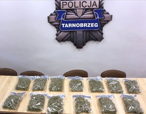27-latek tymczasowo aresztowany za narkotyki. Na zdjęciu konopie indyjskie, które ujawnili policjanci.