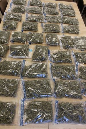 Ta zakrojona na szeroką skalę realizacja, przy której zaangażowani byli policjanci z Tarnobrzega oraz funkcjonariusze z Komendy Stołecznej Policji, Komendy Powiatowej Policji w Otwocku, Komendy Powiatowej Policji w Mińsku Mazowieckim i Komendy Rejonowej Policji  Warszawa VII – była wymierzona w przestępczość narkotykową.

Pod koniec października br. kryminalni, zabezpieczyli ponad 21 kilogramów środków odurzających w postaci suszu marihuany o wartości czarnorynkowej około 1 mln złotych oraz  haszyszu. W tej sprawie zatrzymali dwóch mężczyzn w wieku 19 i 27-lat. 
Obaj zostali przesłuchani i usłyszeli prokuratorskie zarzuty - usiłowania wprowadzenia do obrotu znacznej ilości środków odurzających w postaci ziela konopi innych niż włókniste. 
Na wniosek Prokuratury Rejonowej w Tarnobrzegu, decyzją sądu obaj zostali tymczasowo aresztowani na okres 3 miesięcy. 

Zgodnie z przepisami ustawy o przeciwdziałaniu narkomanii, za usiłowanie wprowadzenia do obrotu znacznych ilości środków odurzających, grozi kara pozbawienia wolności od 2  do 12 lat.